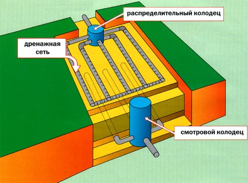 Поле рассеивания